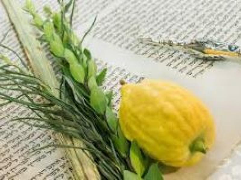 Sukkot Celebration